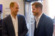 Prinzessin Diana: Das mussten ihr Prinz William und Prinz Harry versprechen