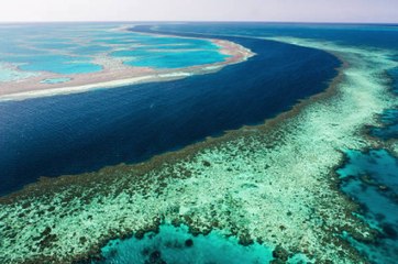 Australia rechaza la advertencia climática de la ONU sobre la Gran Barrera de Coral
