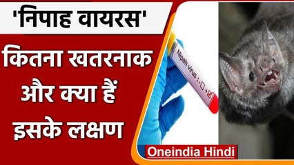 Coronavirus के साथ साथ अब Nipah Virus ने भी बढ़ाई चिंता, जानें इसके लक्षण | वनइंडिया हिंदी