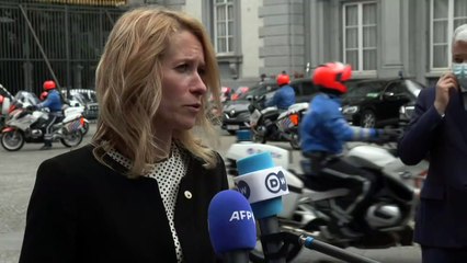 Lei húngara 'inaceitável'