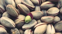 Thief Caught Stealing 42,000 Pounds of Pistachios in California