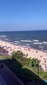 Des sangliers filmés sur la plage en pologne...