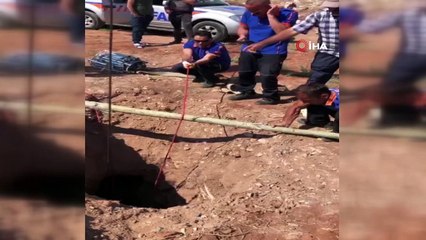 Kuyuya düşen manda AFAD tarafından kurtarıldı