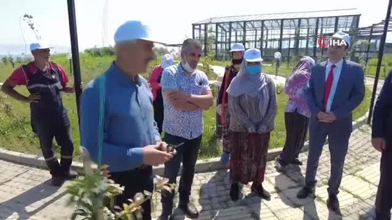 Tıbbi ve Aromatik Bitkiler Bahçesi'nde ilk hasat yapıldı