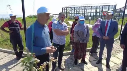 Tıbbi ve Aromatik Bitkiler Bahçesi'nde ilk hasat yapıldı