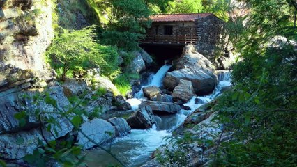 Water, waterfall, river and birds. Sound of nature to relax.