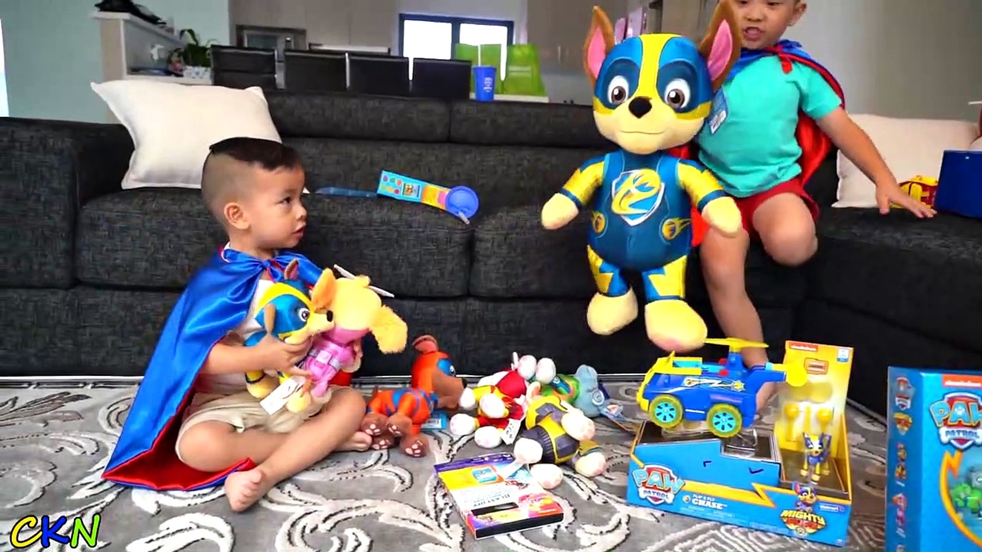Ckn paw patrol hot sale