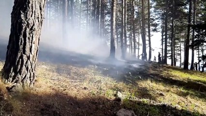 KARS - Örtü yangınında yaklaşık bir hektar alan zarar gördü