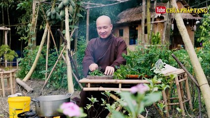 Cách Cứu Người Khi Bị Tăng Huyết Áp Đột Ngột Từ Cây Bồ Ngót  Chùa Pháp Tạng