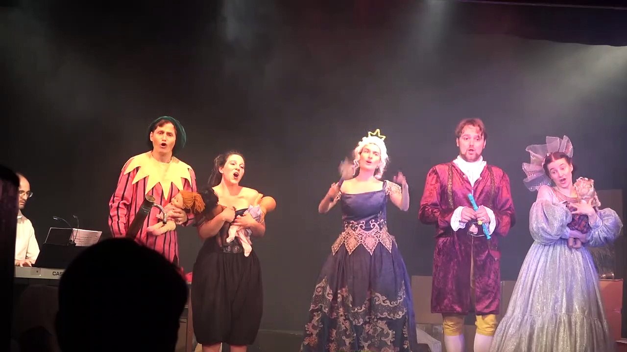 DIE WIENER ZAUBERFLÖTE Music Comedy Operette