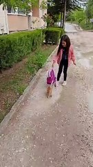 Sevimli Kedi Oyun Oynuyor