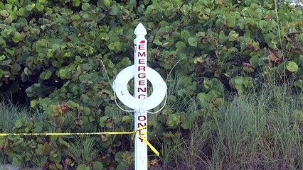 Más de una decena de latinoamericanos desaparecidos en derrumbe de edificio en Miami