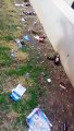 Andria: la villa comunale umiliata dai rifiuti, decine di bottiglie in vetro riciclabile abbandonate ai bordi