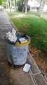 Andria: bidoni utilizzati in maniera impropria e rifiuti abbandonati in villa comunale