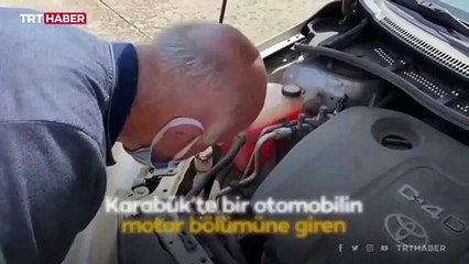 Yavru kedi sürücülerin dikkatiyle kurtarıldı