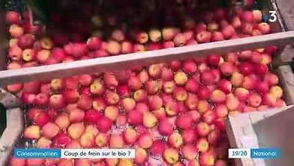 Agriculture : les ventes de produits bio subissent-elles un coup de frein ?