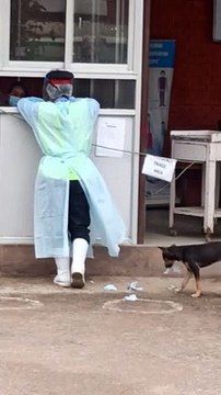 Attention Seeking Pup Tears at Lady's Rain Coat