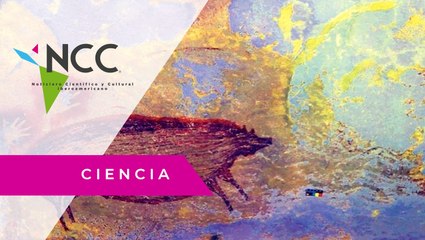 En Indonesia encuentran la pintura más antigua de un animal