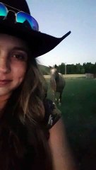 Gassy Horse Greets Owner Before Bed