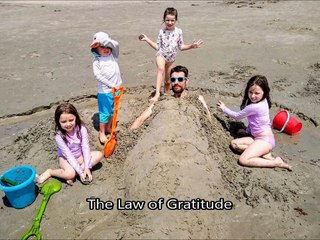 Law of Gratitude & Imagination aka Liberty - Welcome to Mimi&apos;s Place