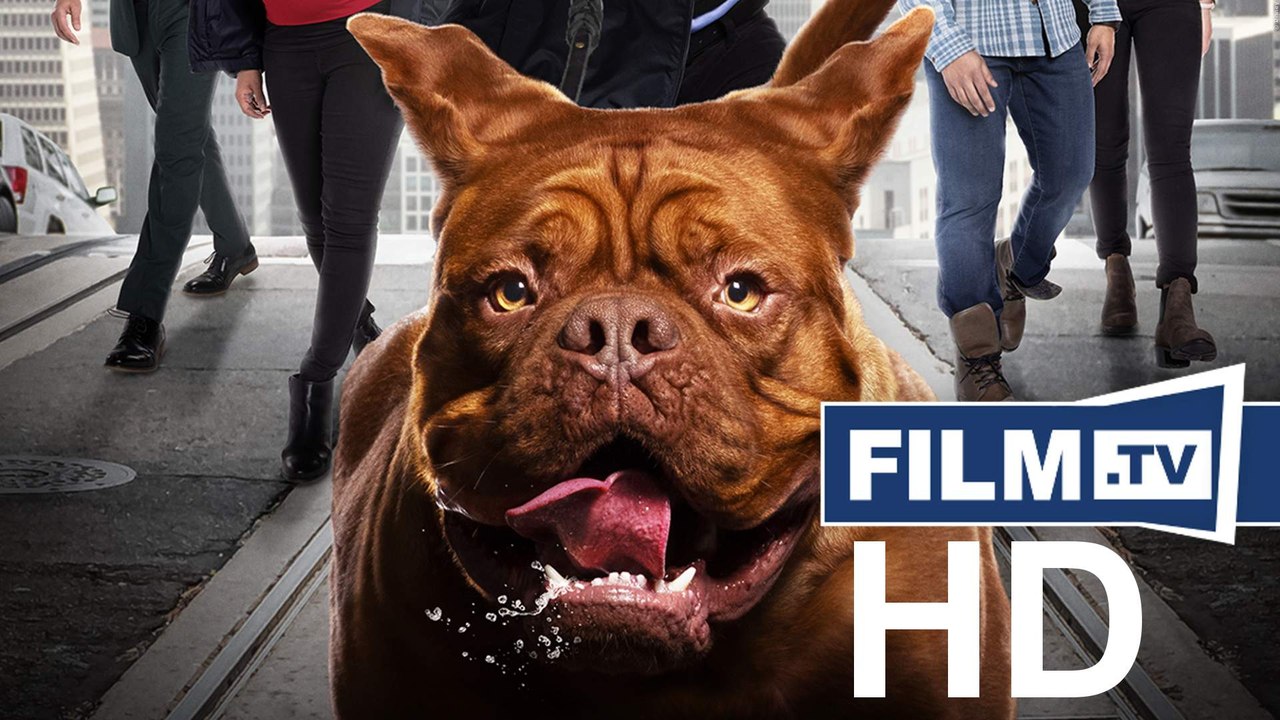 Scott & Huutsch - Staffel 1 Trailer Deutsch German (2021)