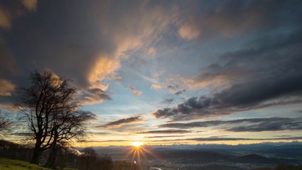 “Meditation is a way for nourishing and blossoming the divinity within you.”