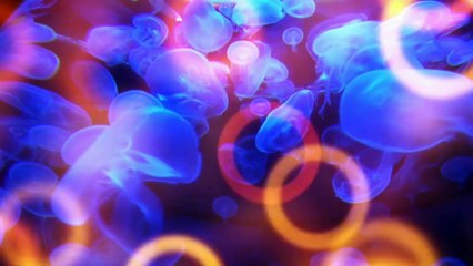 Good Morning Relaxing Music, Peaceful Soothing Music