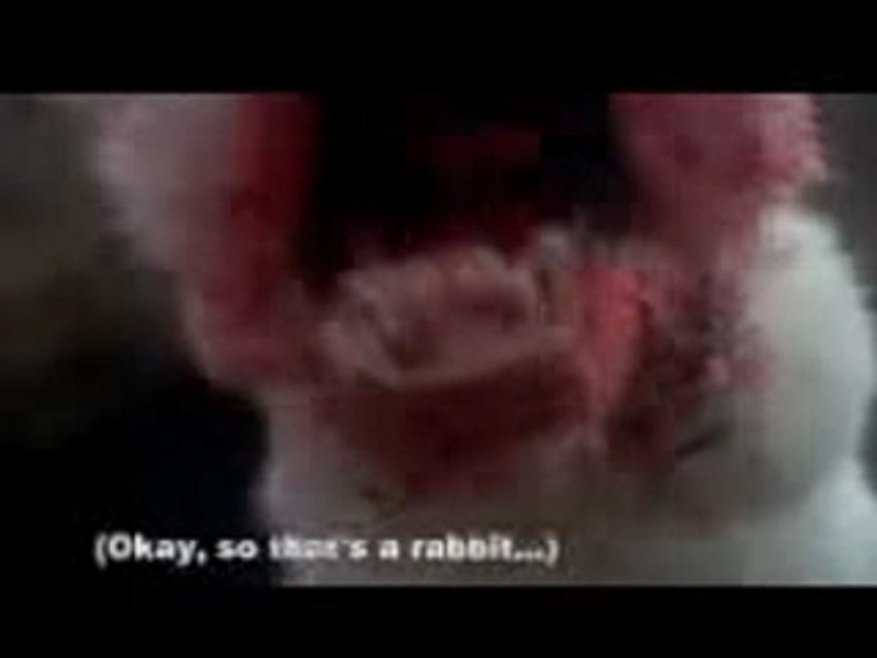 Chipmunk Trailer