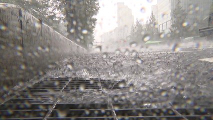 [날씨] 더위 속 곳곳 소나기...주말 흐리고 비 / YTN