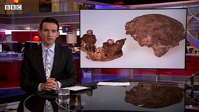 An archaeological discovery that sheds new light on life before the neanderthals