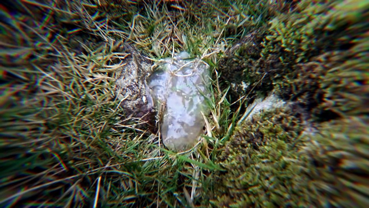 Las 5 Cosas Más Extrañas Que Han Caído Del Cielo