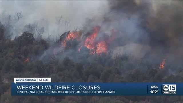 Wildfire closures throughout state national forests