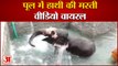 Viral Video of Elephant | हाथी ने लिया ठंडे पानी का मजा | Elephant Playing in Water