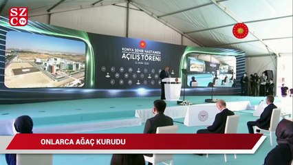 Erdoğan’ın talimatıyla dikilen çam ağaçları kurudu