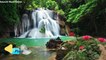 Waterfall Relax 1 Hours of Birds Singing, and Water Sounds,Nature Sound Relaxation,Relaxing Birdsong,