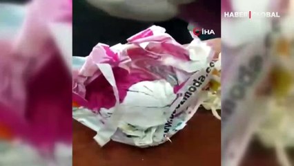 Adana'da bir kadını fotoğrafları ile tehdit eden şantajcıya film gibi operasyon