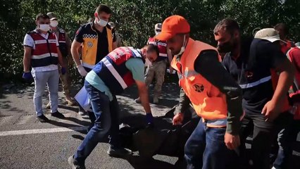 ELAZIĞ - Düğüne giden yolcuları taşıyan minibüs kamyona çarptı: 3 ölü 12 yaralı (2)