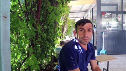 6 yıl önce diktiği sarmaşık, iş yerini kapladı