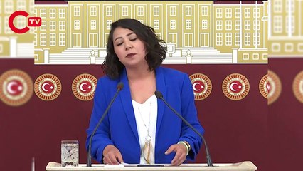 Sera Kadıgil CHP'den istifa ettiğini açıkladı! İşte yeni partisi
