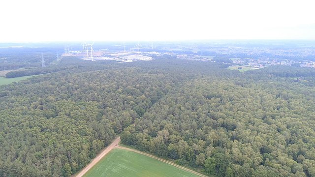 Vue aérienne du Dilserbos où le corps sans vie de Jurgen Conings a été retrouvé
