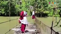 Meniti Jembatan Rusak Demi Berangkat ke Sekolah