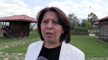 SAMSUN - Ladik Gölü pelikanların gelmesiyle şenlendi