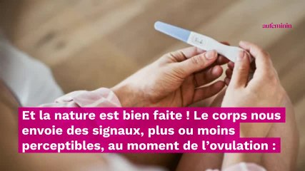 test d'ovulation