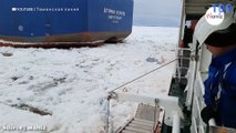 Des marins russes voient quelque chose d'étrange au milieu des glaces : Ils décident de l'embarquer