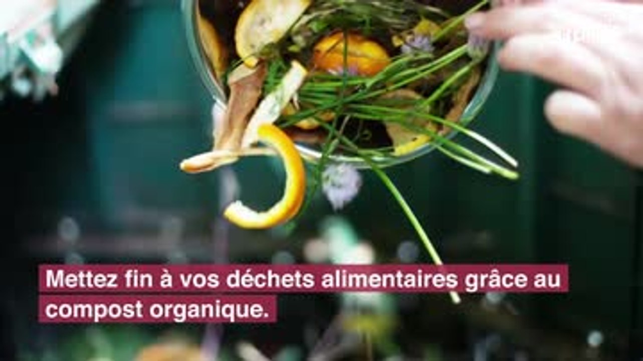 Engrais naturel : les meilleures recettes maison