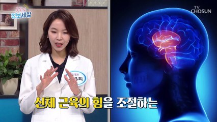 나이 들수록 걱정되는 ❛치매❜.. 3가지로 진단하는 내 상태 TV CHOSUN 210625 방송