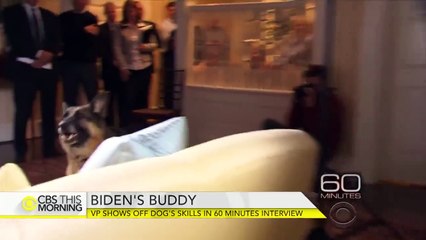 Biden Family Dog Champ Dies