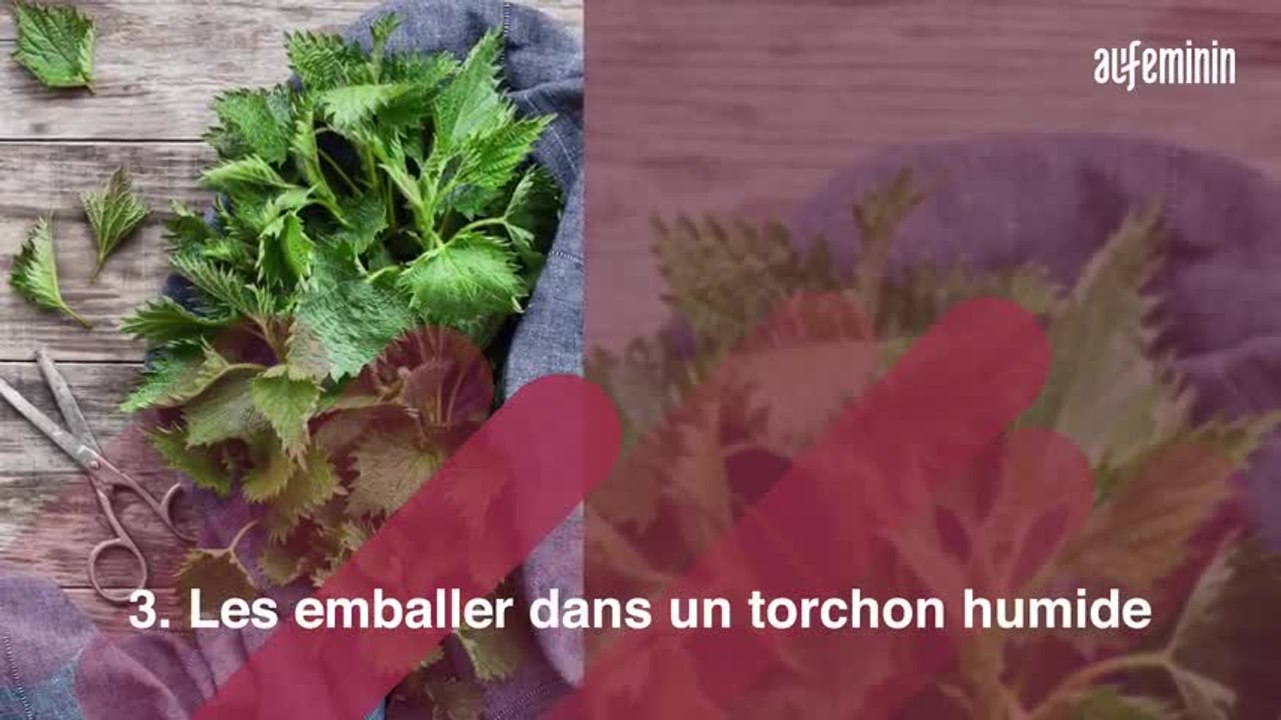 herbes aromatiques