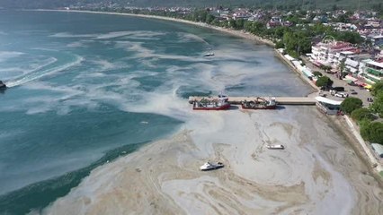 BALIKESİR - Müsilaj kaplı denizde bir tarafta temizlik çalışması yürütülürken diğer yanda çocuklar yüzüyor