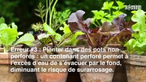 7 erreurs à éviter avec vos plantes aromatiques